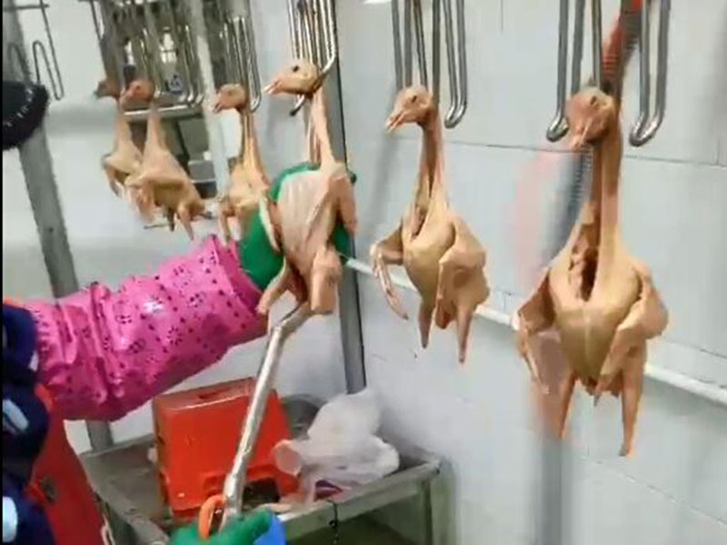 qq截圖20240319152459