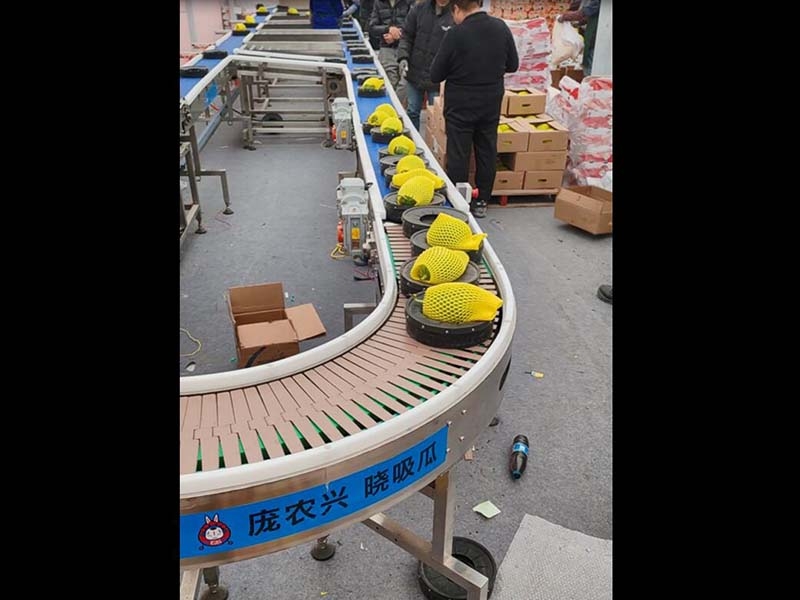 水果分選機(jī)（橙子、柑橘）